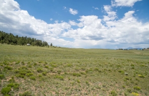 5 Acres of Land for Sale 5 Acres of Land for Sale